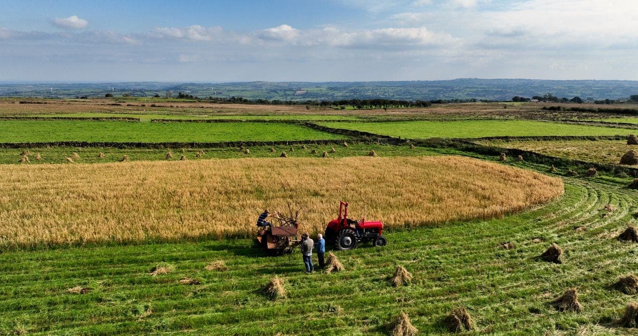 The world's farmland, and why our survival depends on it